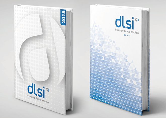 DLSI